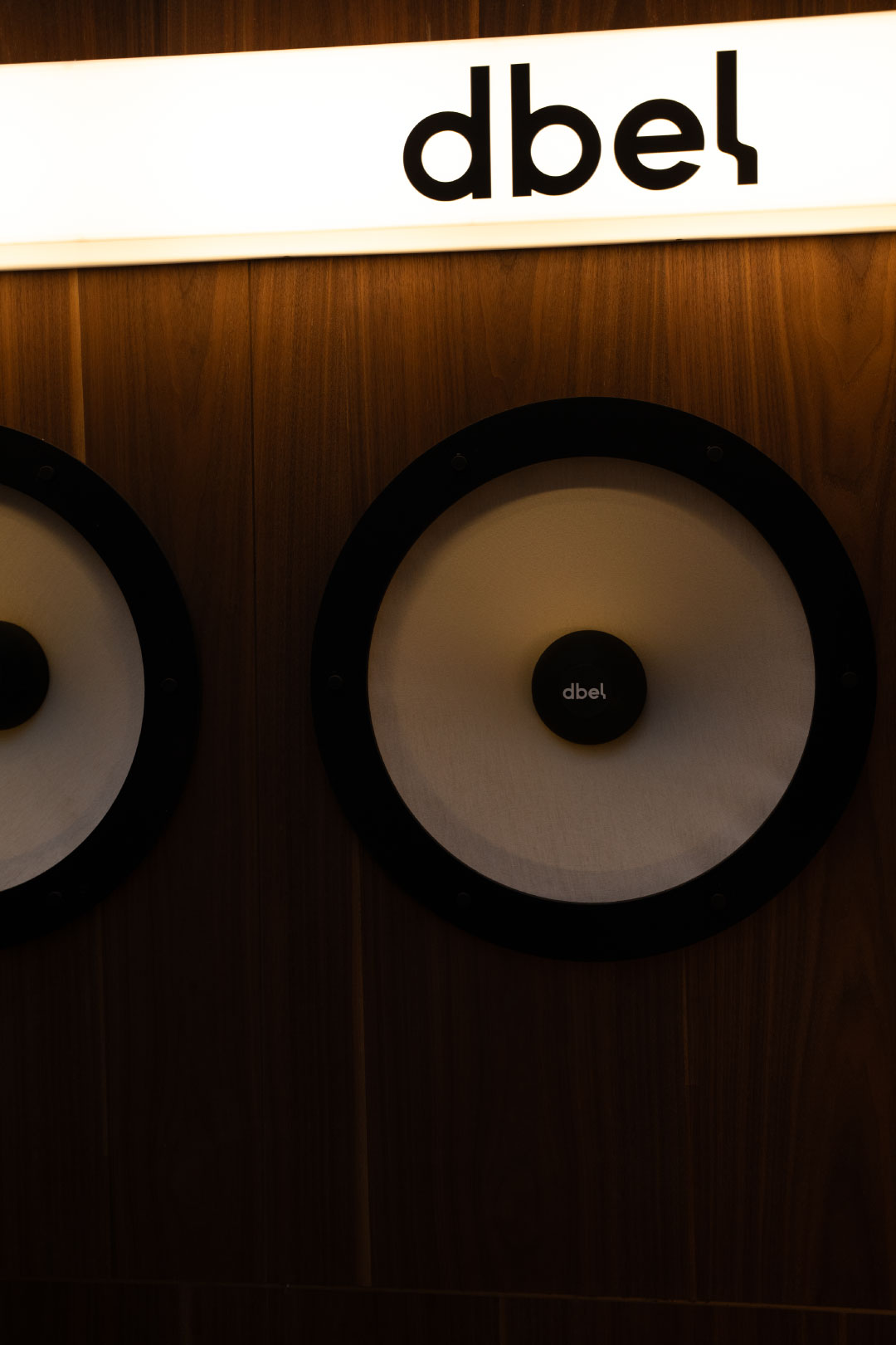 Estudio-PET-dbel-5